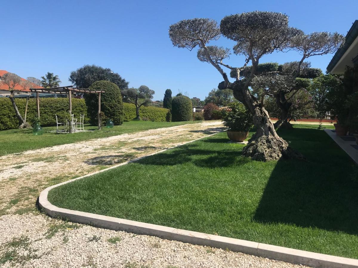 Le Rose Bed & Breakfast Nettuno Eksteriør bilde
