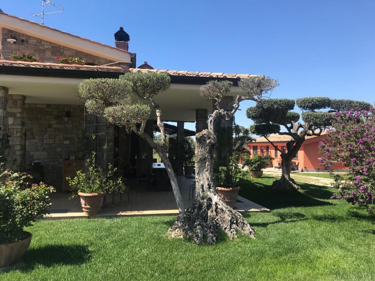 Le Rose Bed & Breakfast Nettuno Eksteriør bilde